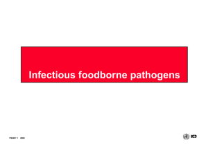 Pathogenic E. coli