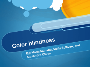 Color Blindness FINAL