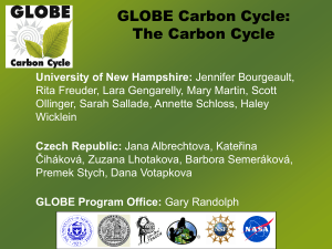 GlobalCarbonCycle