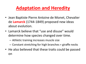 Lesson 2 - Adaptation and Heredity student notes