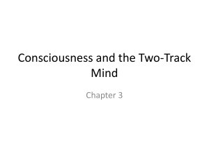 Consciousness and the Two