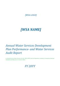 and water services audit report Template