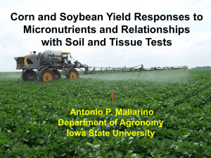 Corn and Soybean Yield Responses to Micronutrients and