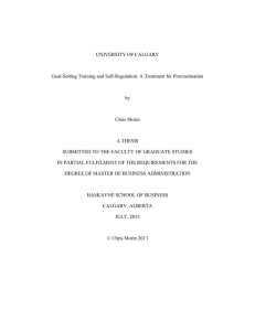 Chris MBA thesis – July 17