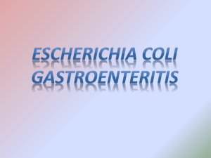 Escherichia coli Gastroenteritis