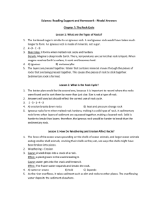 Science Reading Support and Homework – Model Answers
