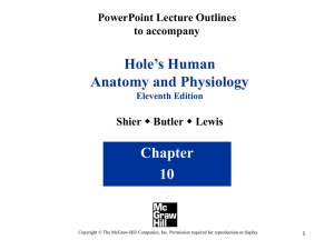 chapter_10_powerpoint_l