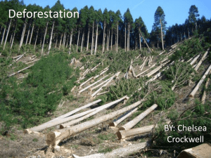 Deforestation chels