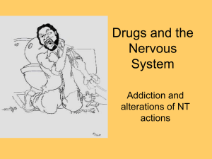 Drugs and the Nervous System