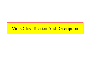 Virus Classification and Description Lec. 3