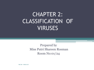 Chapter 2-Classification of virus