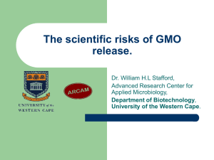 GMOs: Scientific Evidence