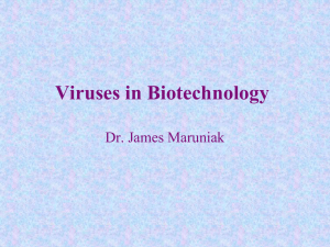 Viruses in Biotechnology - Entomology and Nematology Department