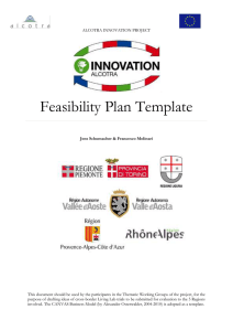 Feasibility Plan Template - ALCOTRA