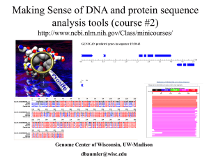Making Sense of DNA and protein sequence analysis tools