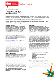 the pitch 2013