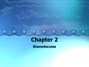 Biomolecules - VCS1-to-1