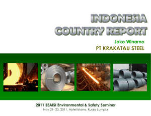 2011 INDONESIA COUNTRY REPORT-rev2