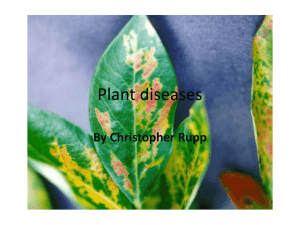 Plant Diseases by Chris Rupp