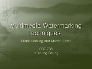 Multimedia Watermarking Techniques