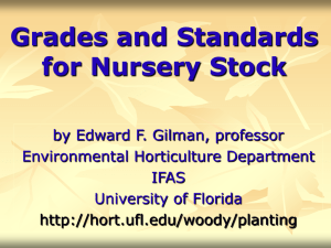 Florida Grades and Standards for Nursery Plants