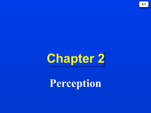 Chapter 2: Perception