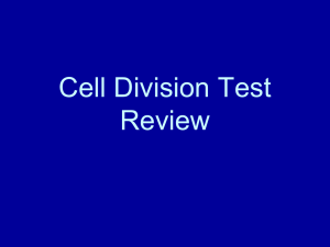 Haploid cells - Belle Vernon Area School District