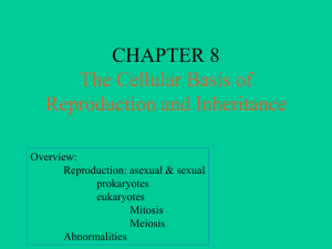 CHAPTER 8 The Cellular Basis of Reproduction and Inheritance