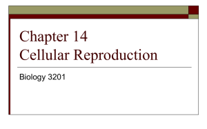 Chapter 14 Cellular Reproduction