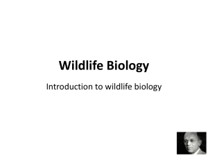 Introduction to Wildlife Biology