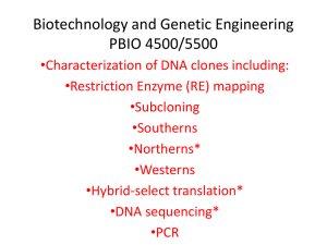 Other molecular techniques: blotting, sequencing, PCR