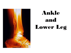 Ankle and Lower Leg