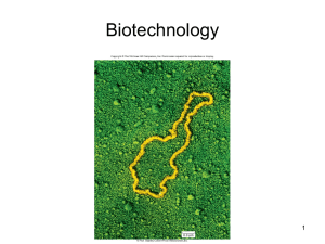 Biotechnology Powerpoint