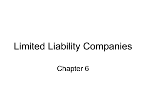 The Limited Liability Company