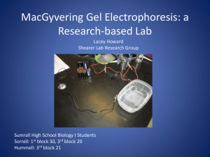 MacGyvering Gel Electrophoresis: a Research