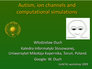 Autism, Ion Channels and Computer Simulations