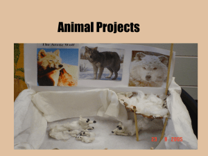 Animal_Habitat_Project