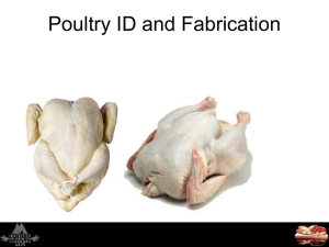 Poultry ID and Fabrication