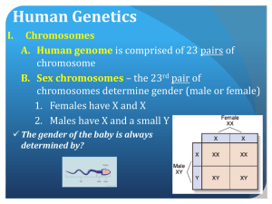 CB-Human Genetics