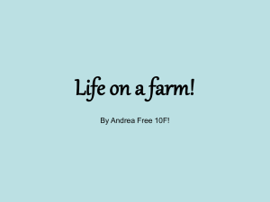 Life on a farm!