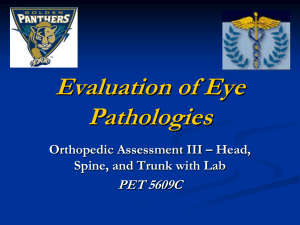 Eye Evaluation