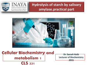 2. hydrolysis of starch by salivary amylase