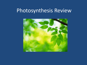 An Experiment in photosynthesis