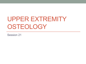 Upper Extremity Osteology - 34-601ClinicalAnatomy-FA14