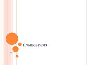 Homeostasis