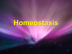 Homeostasis - NCEA Level 3 Biology