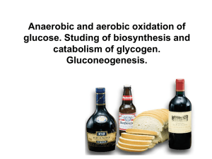 05_Anaerobic and aerobic oxidation of glucose