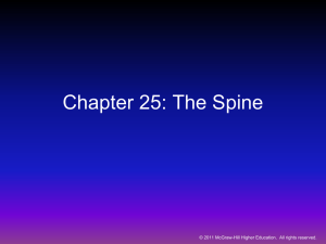 Chapter 25: The Spine - McGraw Hill Higher Education