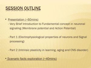 Cellular Neuroscience presentaion slides [943273]