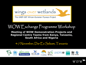 Nov 2008 - Wings Over Wetlands (WOW)